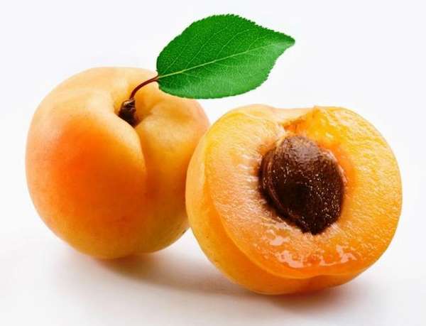 абрикоса